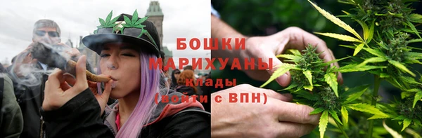 твердый Горняк
