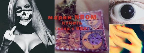 твердый Горняк