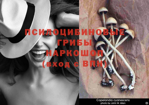 наркотики Горнозаводск