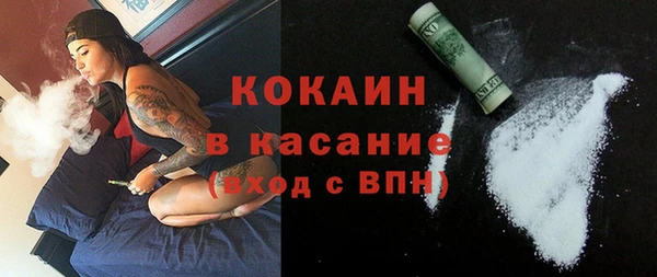 твердый Горняк