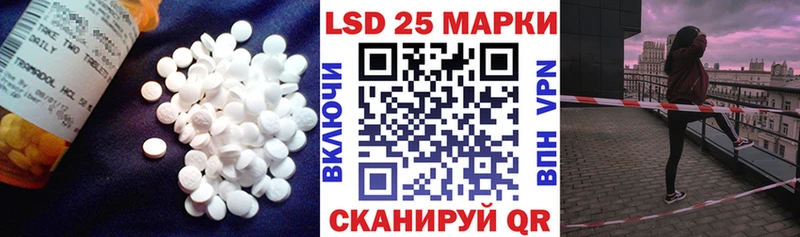 MEGA зеркало  Петровск-Забайкальский  LSD-25 экстази ecstasy 