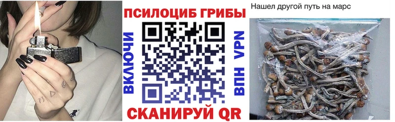 хочу наркоту  Петровск-Забайкальский  Псилоцибиновые грибы GOLDEN TEACHER 